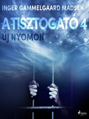 cover image of A Tisztogató 4.